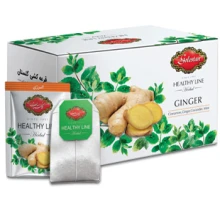 دم نوش انرژی زنجبیل گلستان 20 عددی